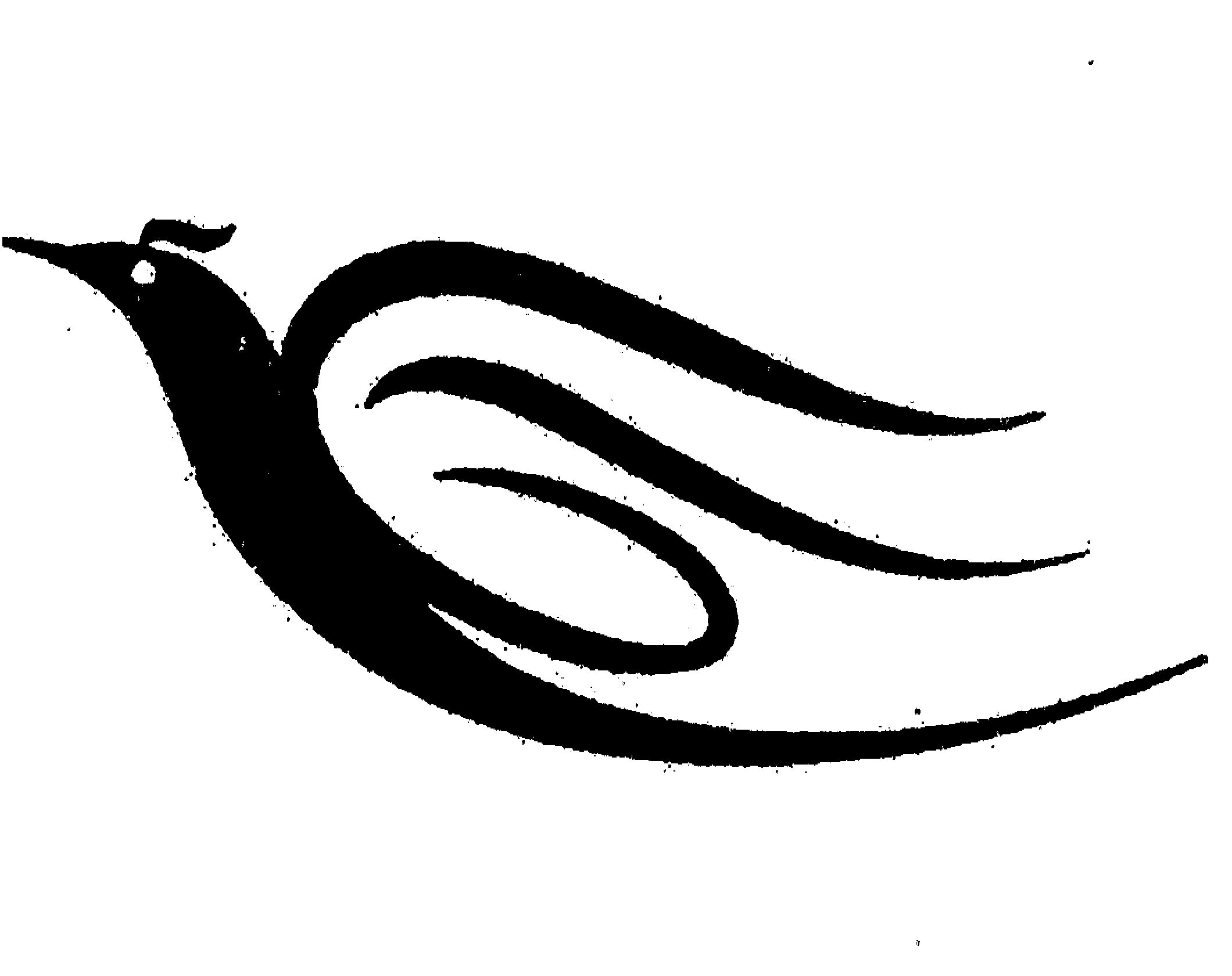 skfd332.jpg
